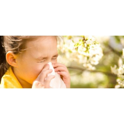 Как легко и безопасно лечить аллергию?